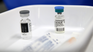 If No One Gets Measles in the Next Three Days, the U.S. Can Call Itself Measles-Free<i></i>
